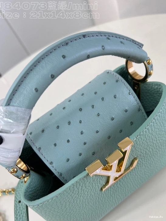 CAPUCINES MINI-22*12*8CM LOUIS VUITTON 0121